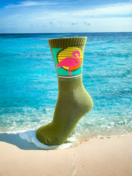 FLORIDA LOTTERY Socks ~ UNSANE
