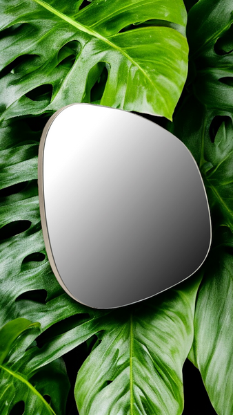 Organic Shape Framed Mirror
