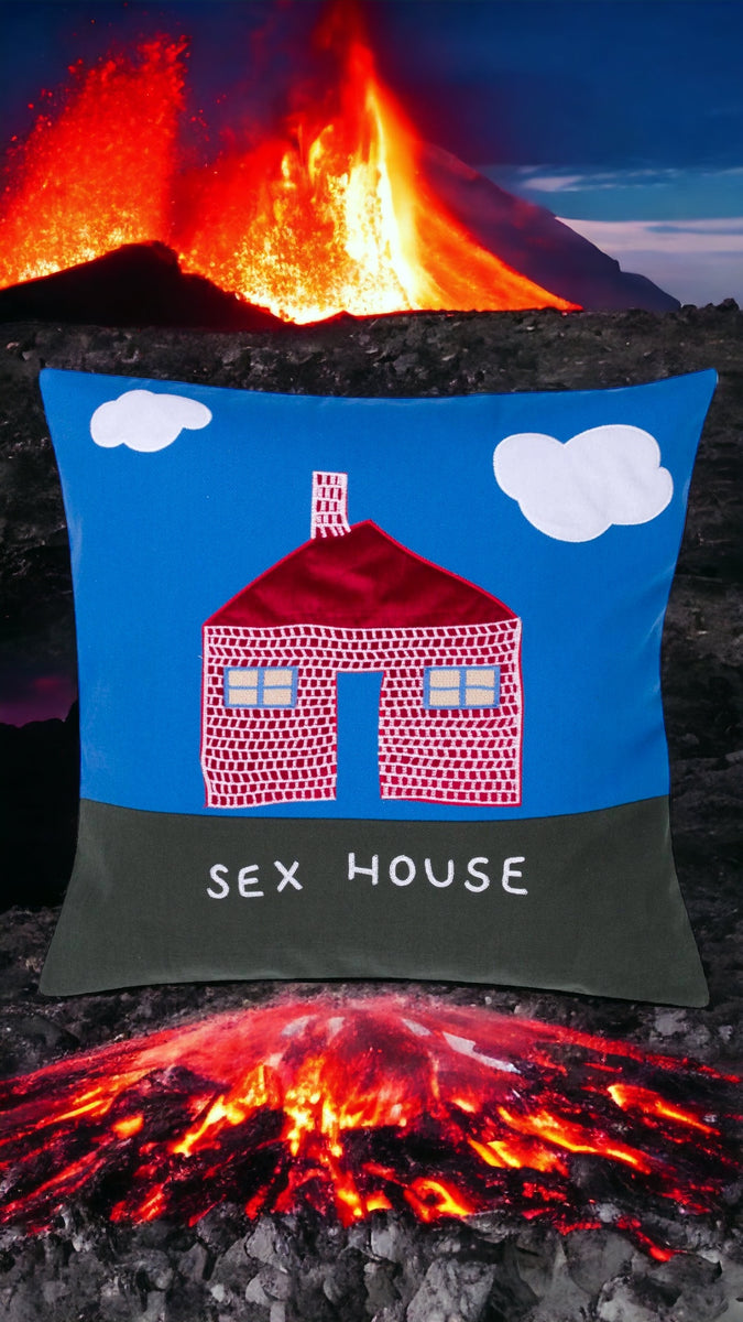 Sex House Pillow Case – FENG SWAY