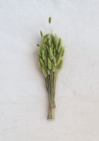 Green Dried Bunny Tail Grass Bundle