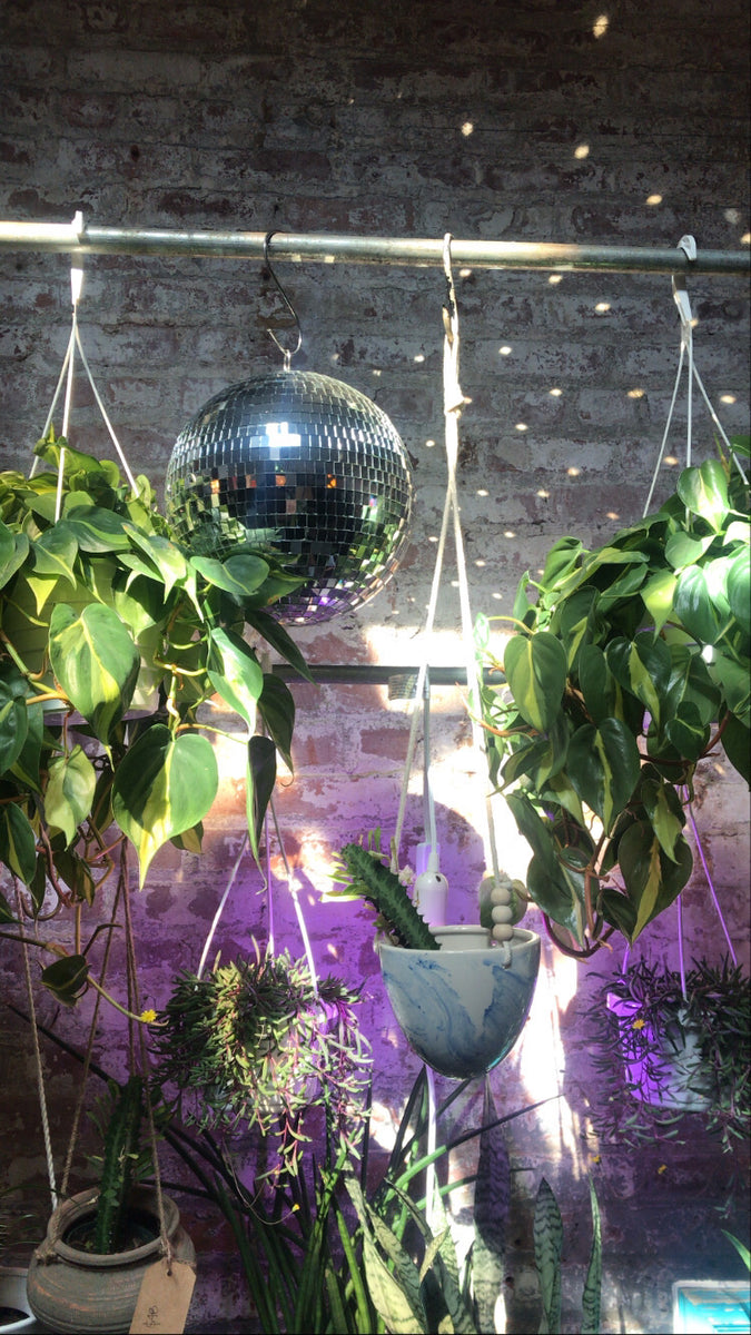 Disco Ball Planter, Disco Hanging Planter Indoor, Hanging Wall Planter Pot, Hanging  Disco Ball Decor, Hanging Succulent Planter Pot From USA 