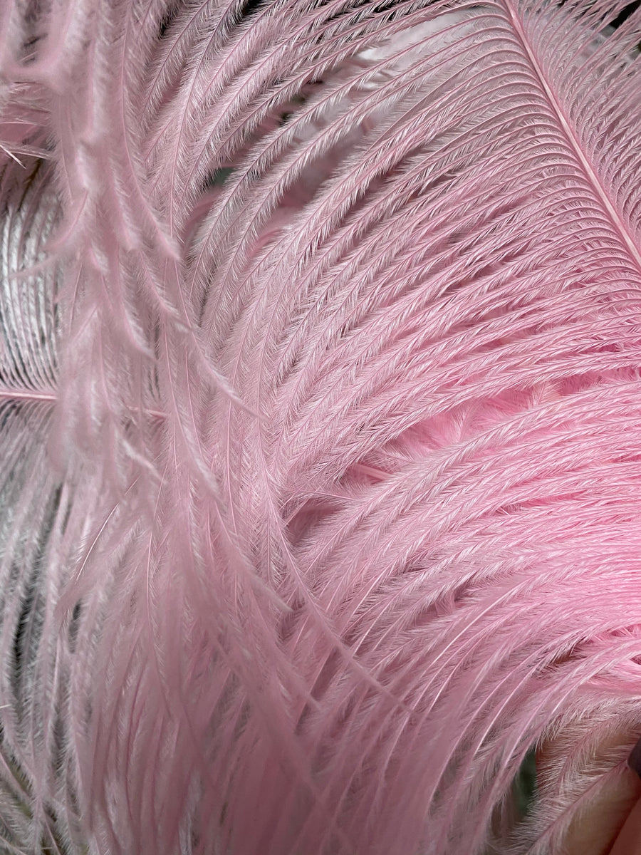 Large Pink Ostrich Feather – FENG SWAY