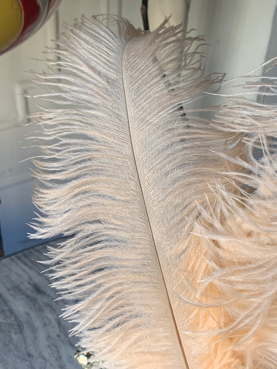 Peach Ostrich Feathers – FENG SWAY