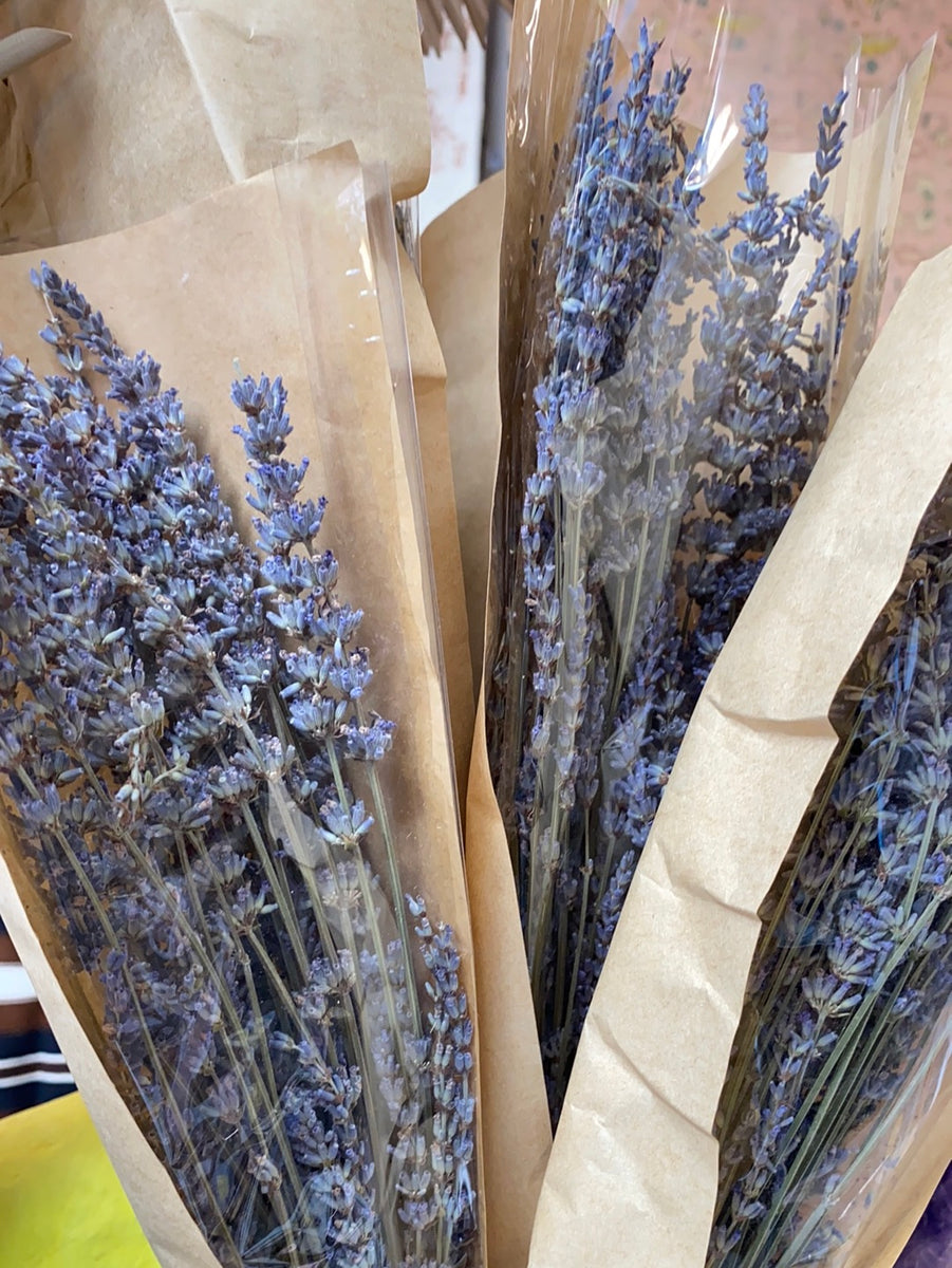 Dried Lavender Bundle – FENG SWAY
