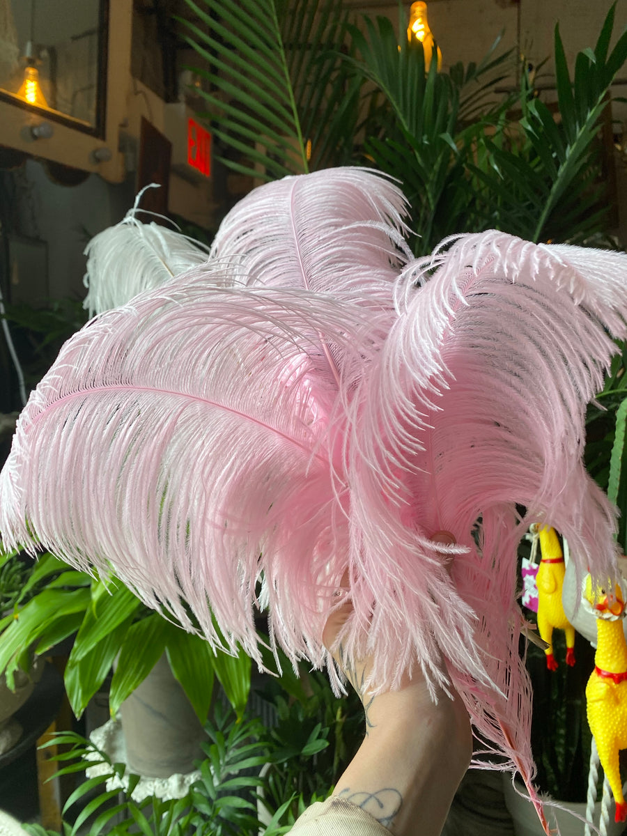Large Pink Ostrich Feather – FENG SWAY