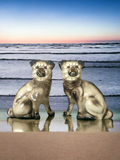 Mid Century Staffordshire Style Porcelain Pug Dogs - a Pair