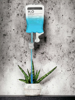 IV Drip Plant Watering System