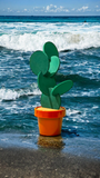 Cactus Coaster Set