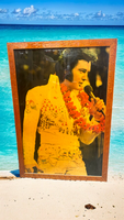 Hot Elvis Framed Poly Portait