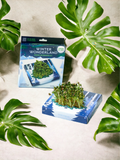 Winter Wonderland Microgreens Kit~ Modern Sprout