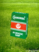 Ayurvedic Herbal Soap