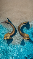 Brass Asian Dolphin Figural Decor Set