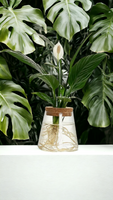 MCM Cork + Glass Propagation Vase