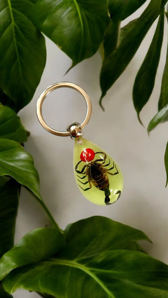 GLOW SCORPION KEYCHAIN