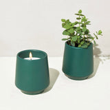 ROOTED CANDLE~ 3 Styles