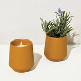ROOTED CANDLE~ 3 Styles