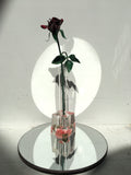 Lucite Rose Propagation Vase