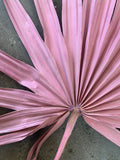 Pink Dried Palms