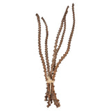Dried Banana Stem Bunch