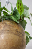 MCM Brass Hanging Planter