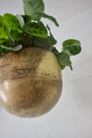 MCM Brass Hanging Planter