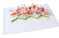 Go Wild Flamingo Pop Up Greeting Card