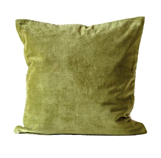 Sage Velvet Pillow