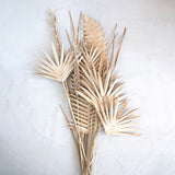 Natural Fern Palm Buri Pick