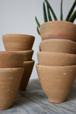 Cone Terra Cotta Pot