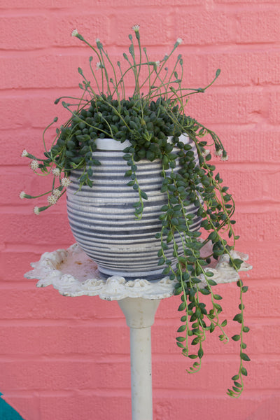 White and Grey Striped Ceramic Planter