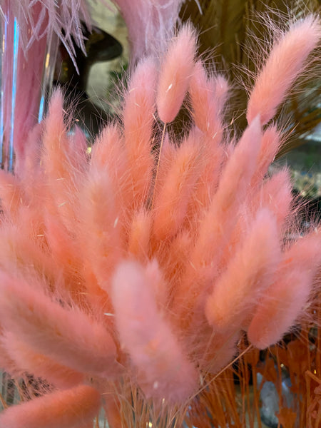 Pastel Pink Dried Bunny Tail Grass Bundle