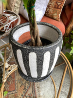 Textured Black + White Pot