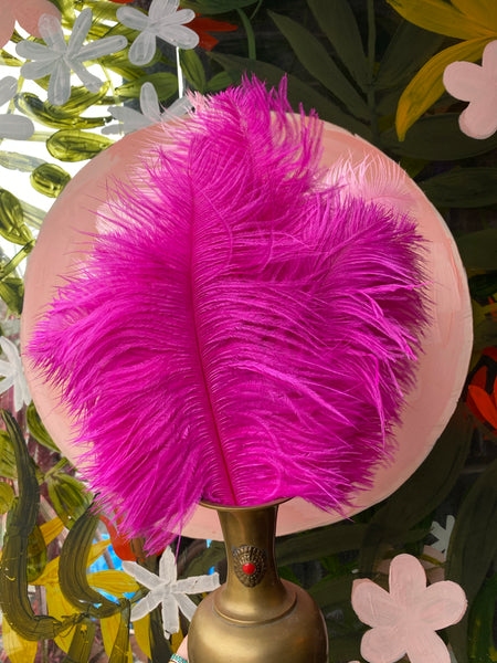 Fuchsia Ostrich Feathers – FENG SWAY