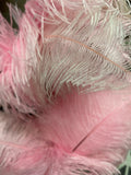 Large Pink Ostrich Feather