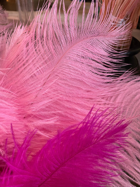 Pink Ostrich Feathers – FENG SWAY