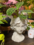 Olive Wreath Goddess Head Planter