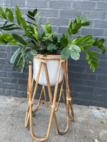 Metal Planter w Bamboo Stand