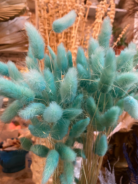 Teal Dried Bunny Tail Grass Bundle