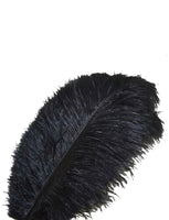 Charcoal Ostrich Feathers