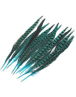 Turquoise Pheasant Feathers