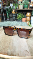 Hip to be Square Tortoise Sunnies