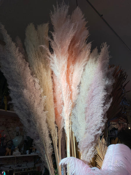 Charcoal Ostrich Feathers – FENG SWAY