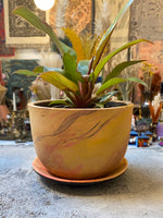Marmalade Marbled Terracotta Planter