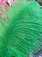 Lime Green Ostrich Feathers