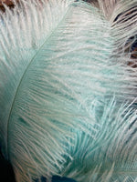 Mint Ostrich Feathers
