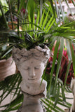 Roman Goddess Head Planter