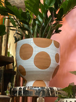 Large Spotted Terra Cotta Pot