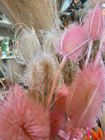 Dried Cardus Flower Stem (2 Colors)