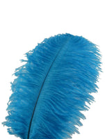 Turquoise Ostrich Feathers