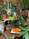 Roman Goddess Head Planter